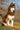 Crimson Glow Waterproof Dog Leash